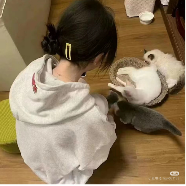 蜡笔小7