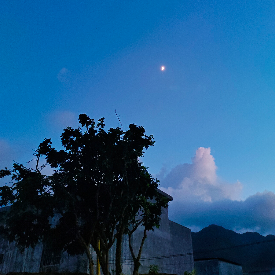 雾断雨