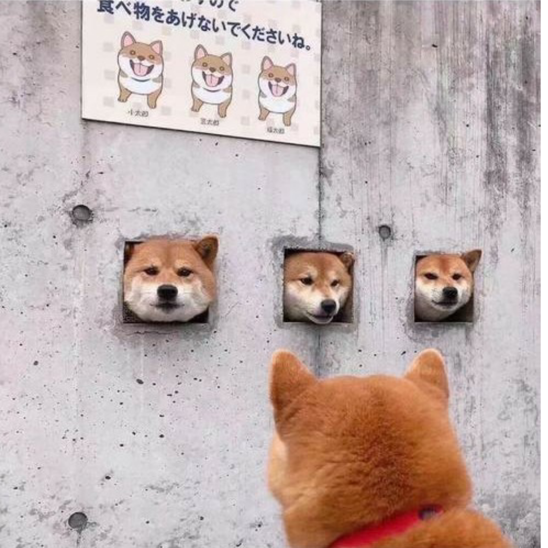 一曲一回忆