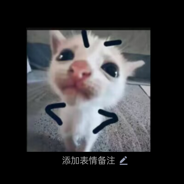 可笑的小熊猫