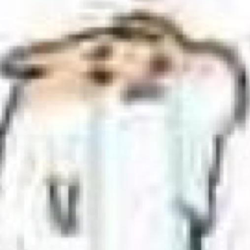 鬼鬼