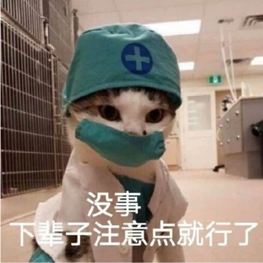 手可摘玉兔