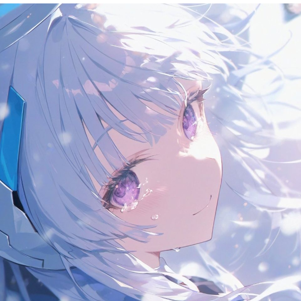 秋海遇流星