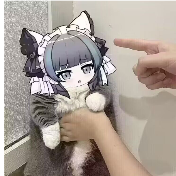 666