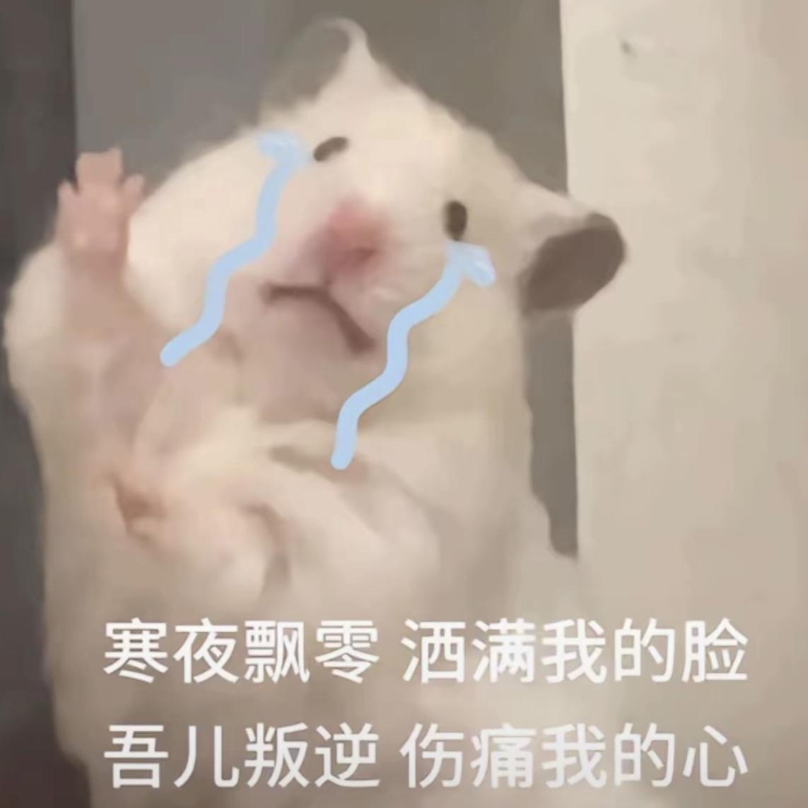 遗声