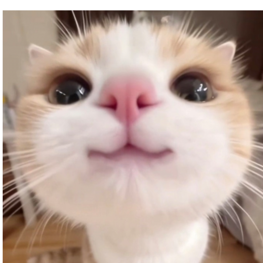 小懒