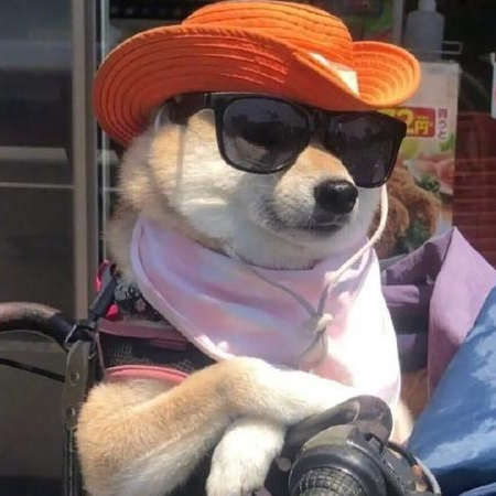 我不叫喂