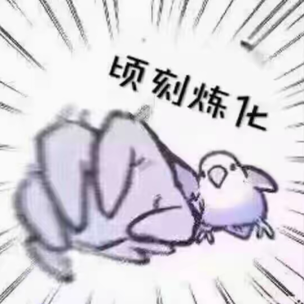 雪纷飞