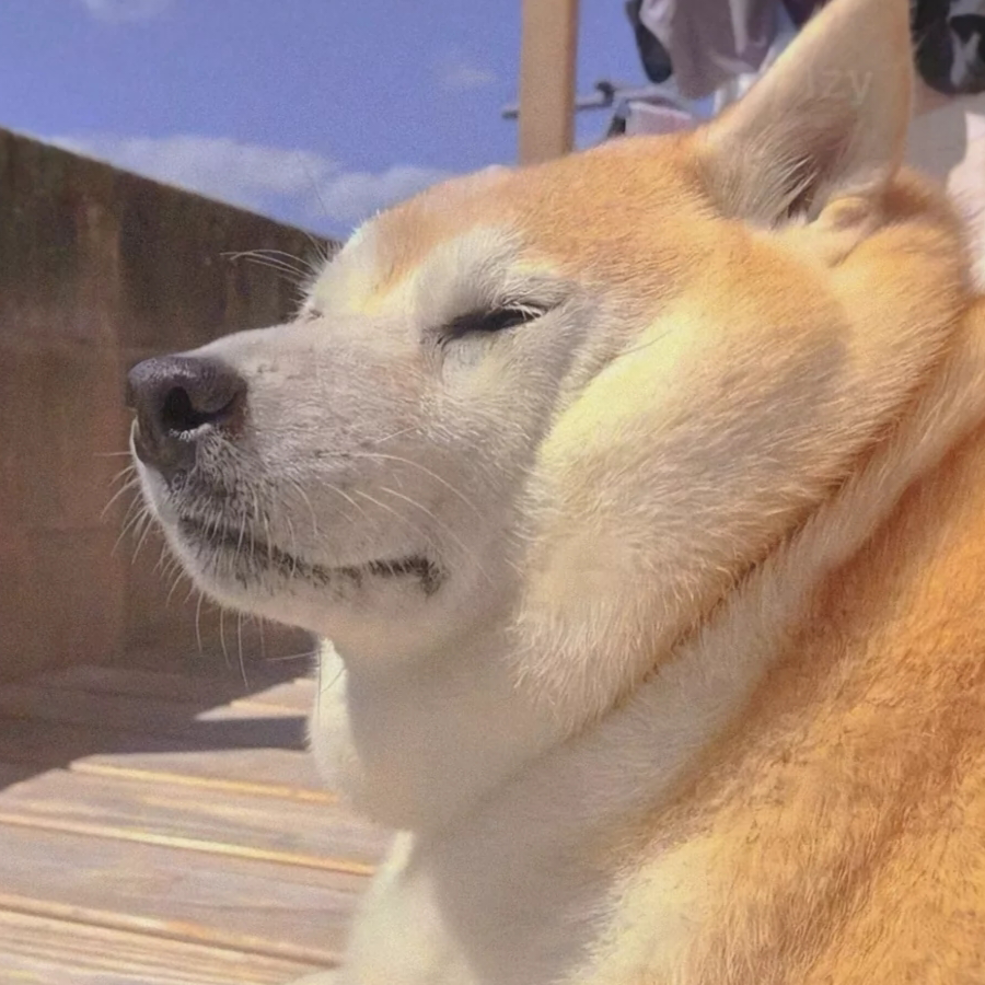柚子与四月天