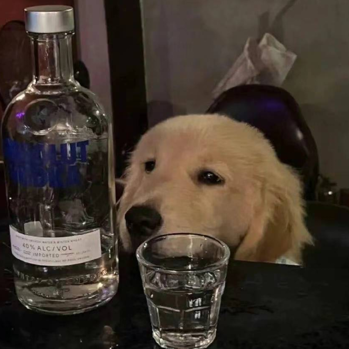 坠入暮云间