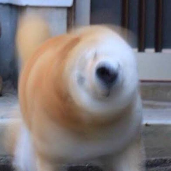 梦中有梦