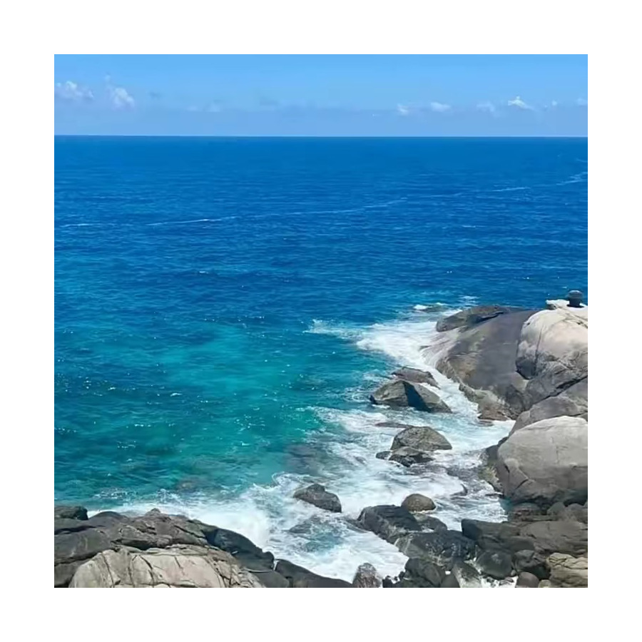 海洋
