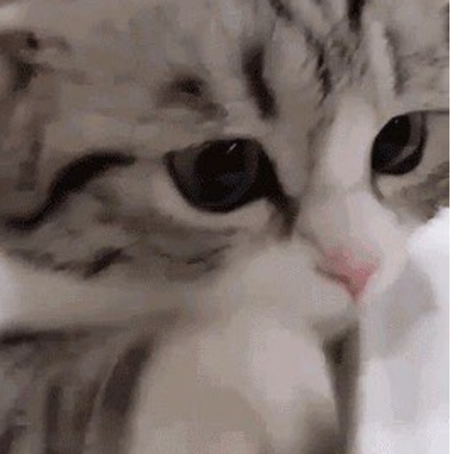 南艺