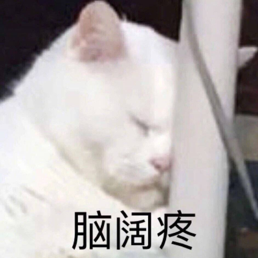 _猫猫黎桑_