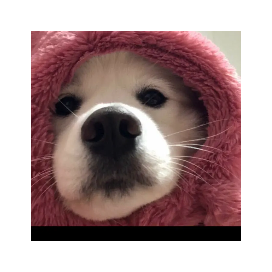 777