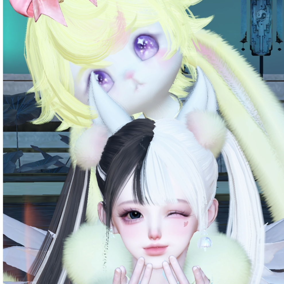 倾倾