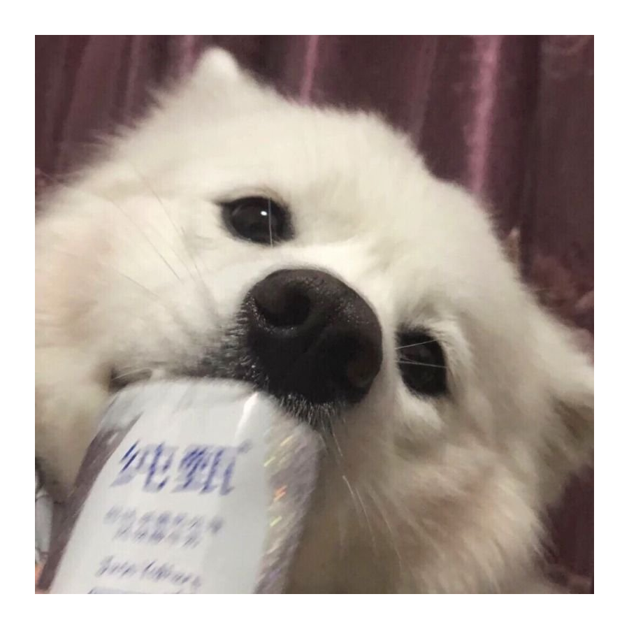 闵月