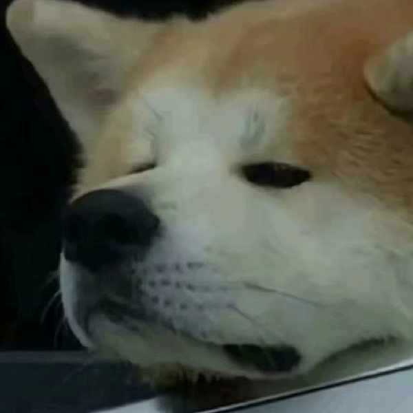 甲乙