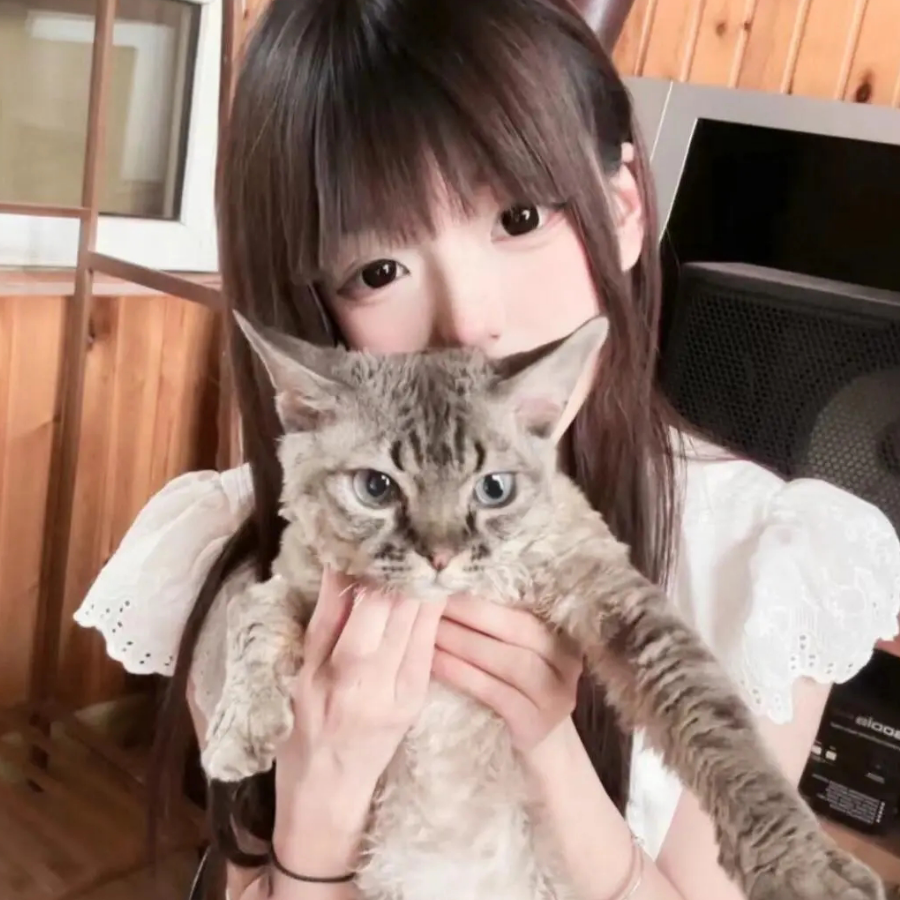 丸丸子