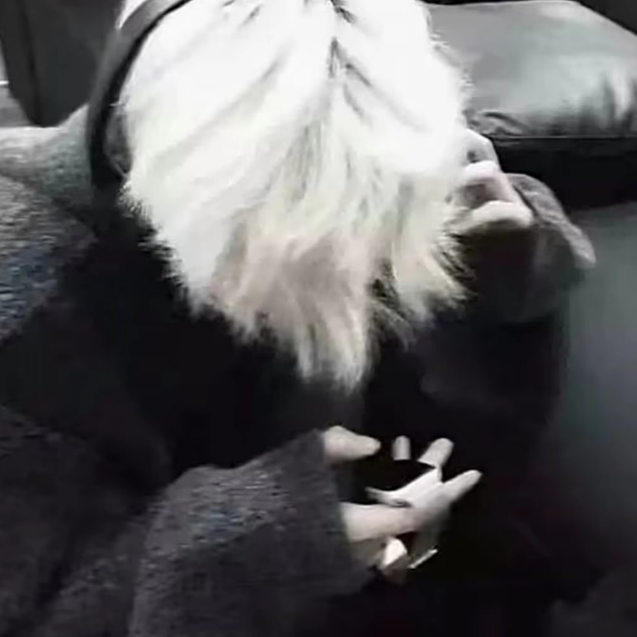 匿忌