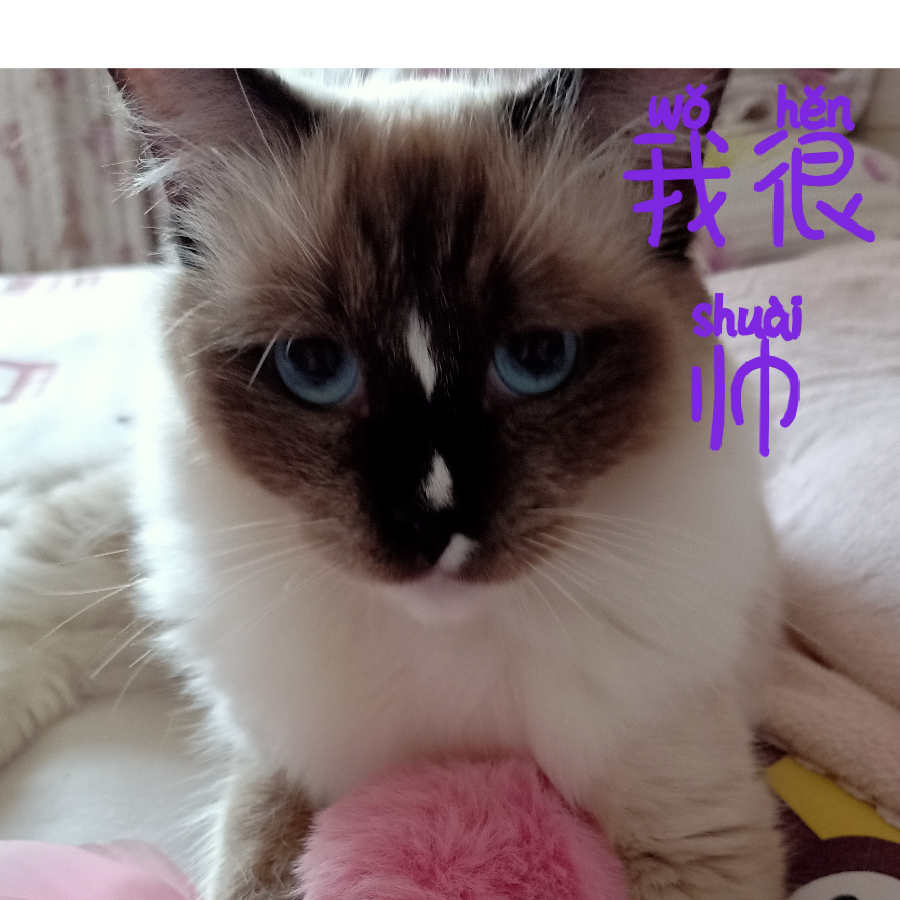 凝望（韩妆）