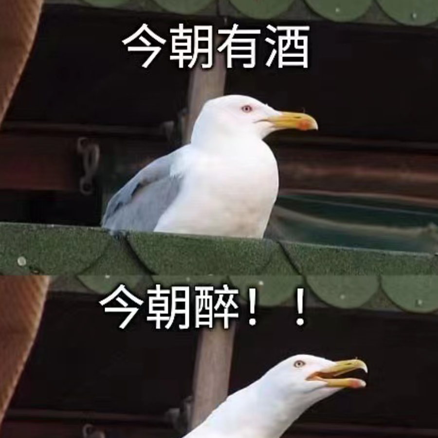 无辜北极熊
