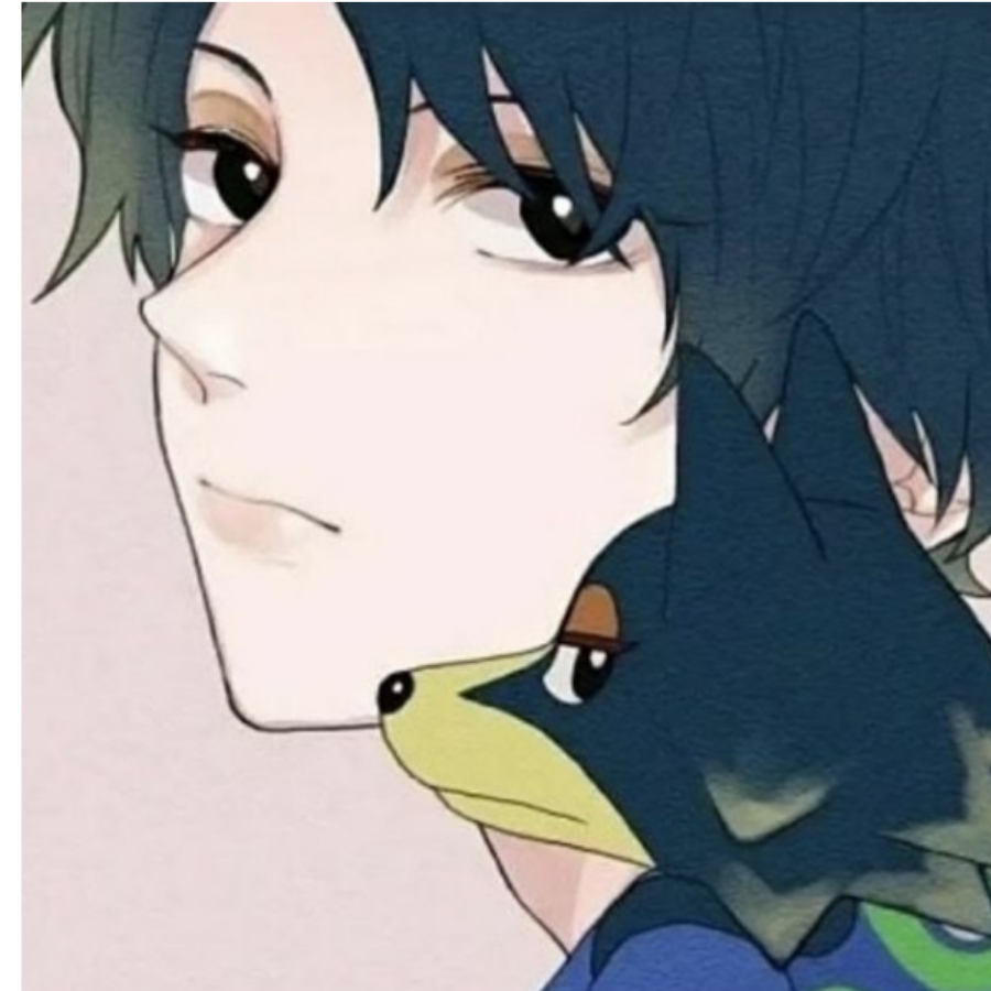可可西里