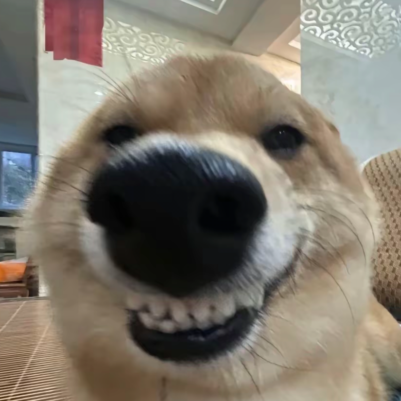 哇还在歪！