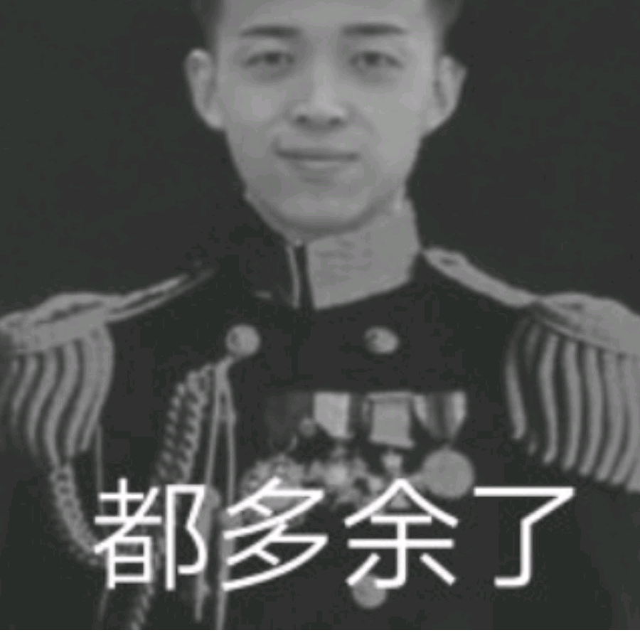 宇将军