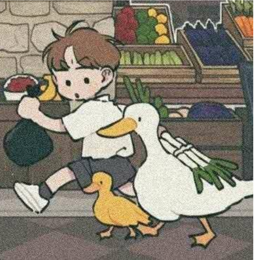十一卓