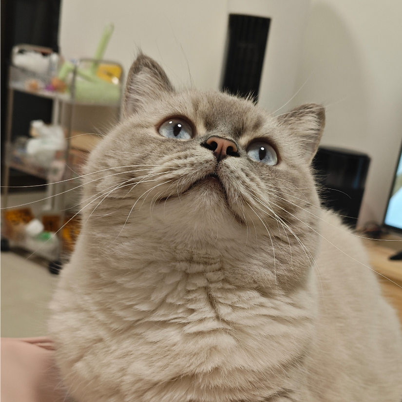 浮生不只三千