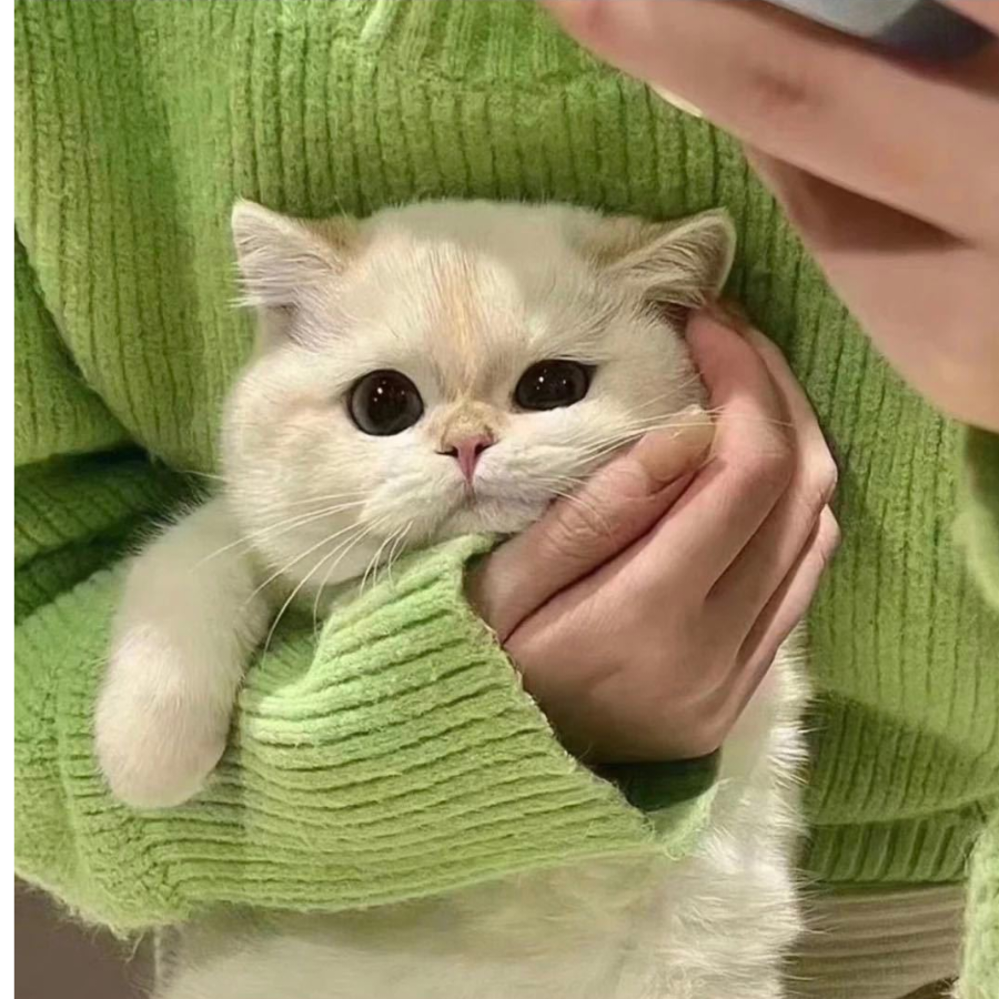 靓仔