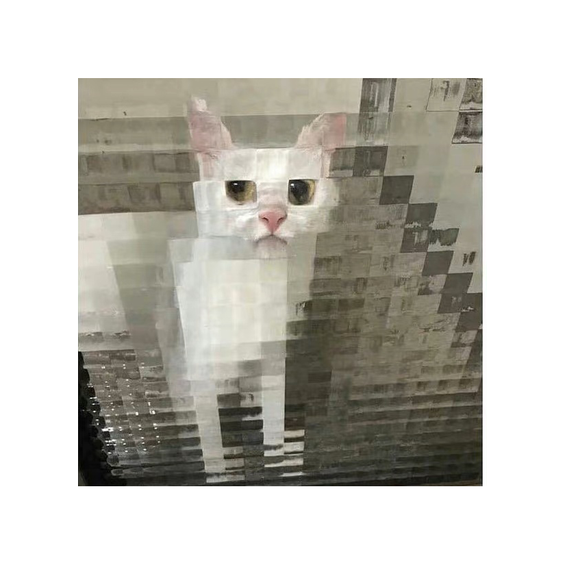 蛋蛋蛋蛋