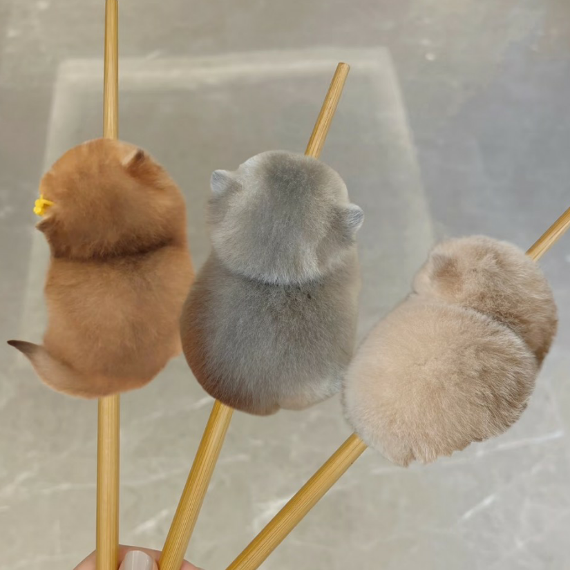 冬季丶缘起