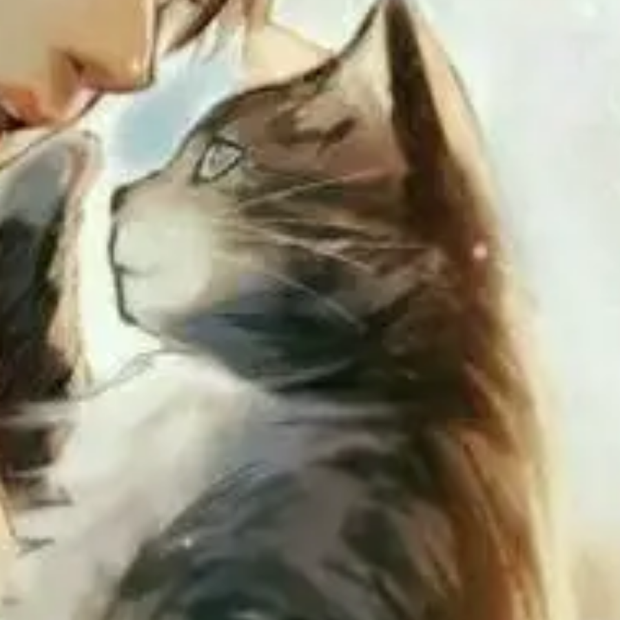 。。