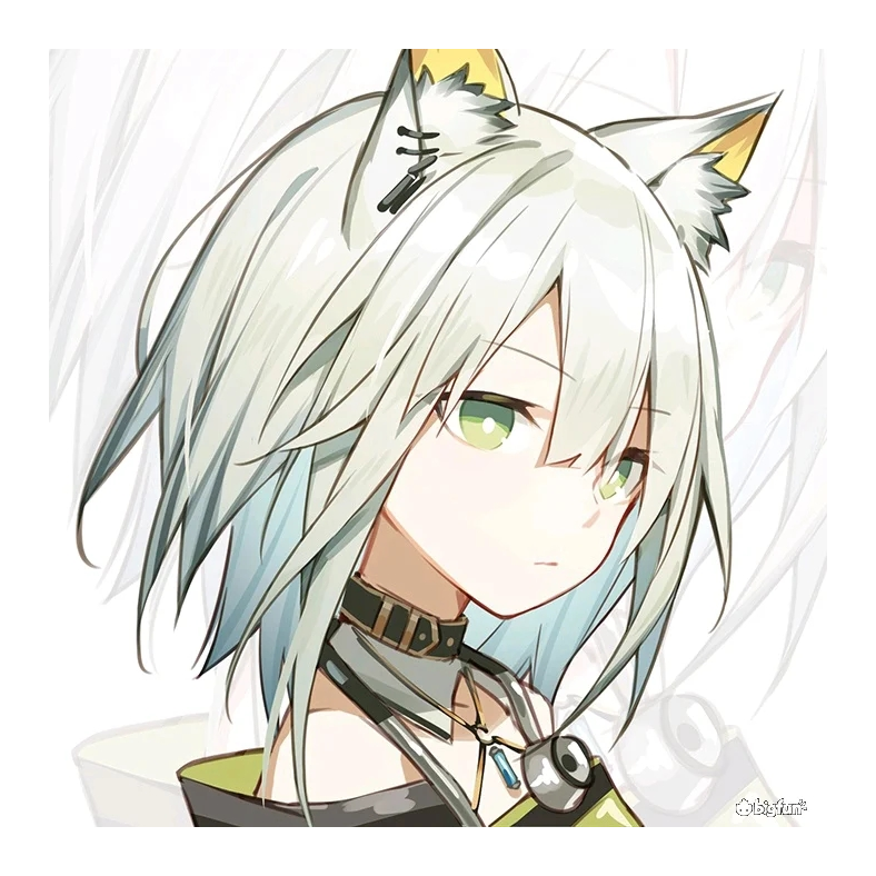 雾岛听风