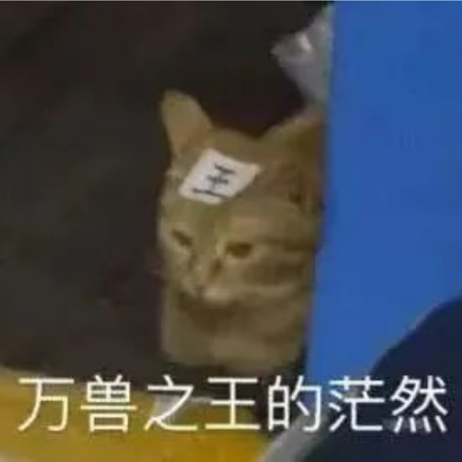____猫.💭