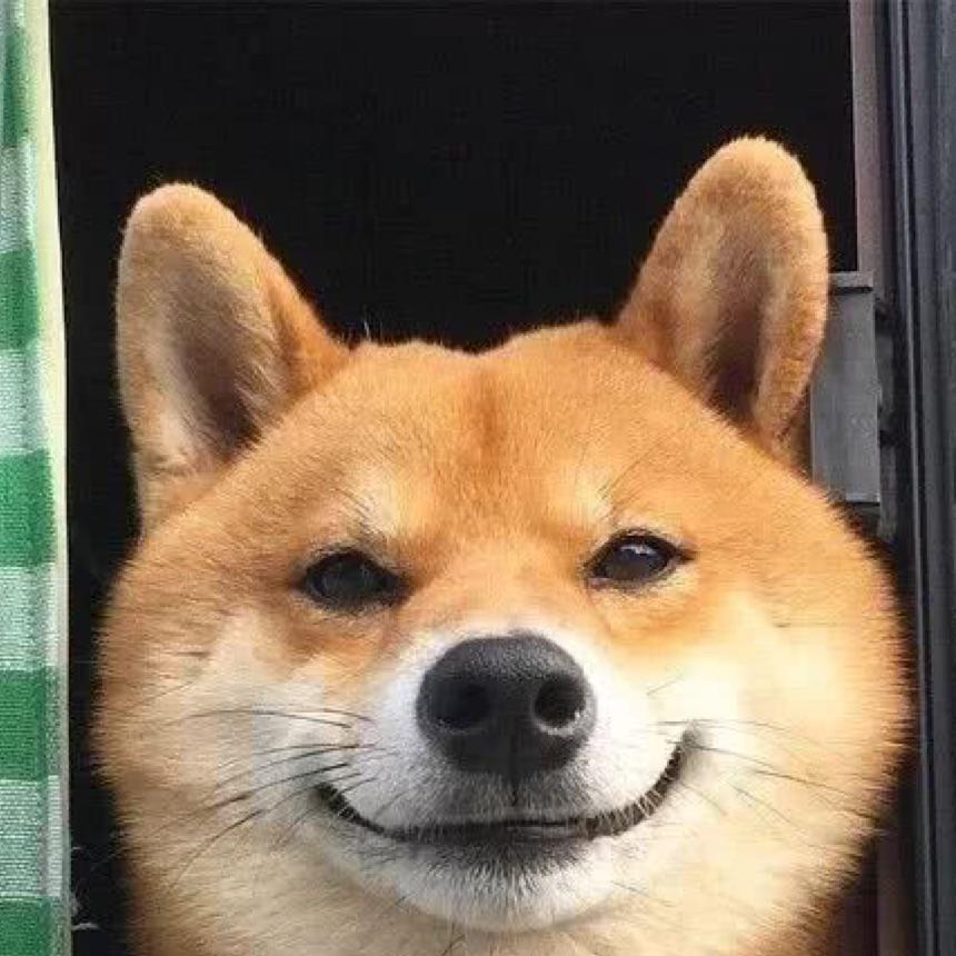 超级狗老大