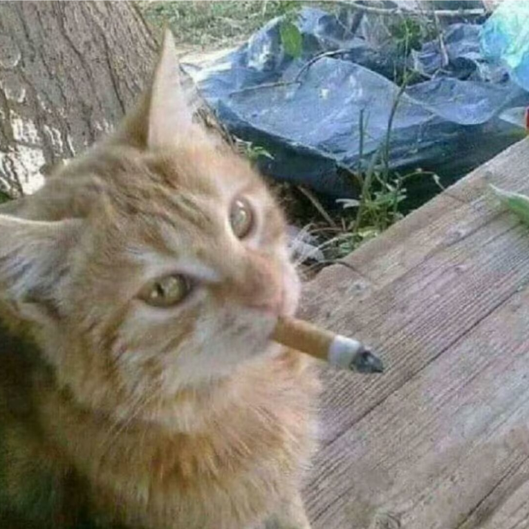 燃烧刀
