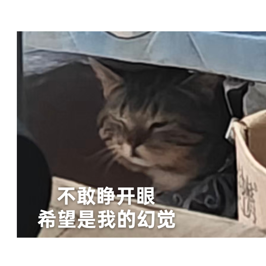 璨墨