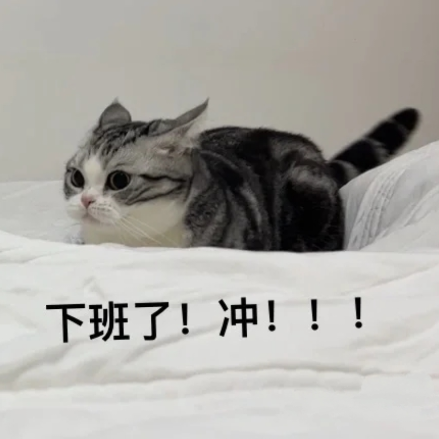猪小球