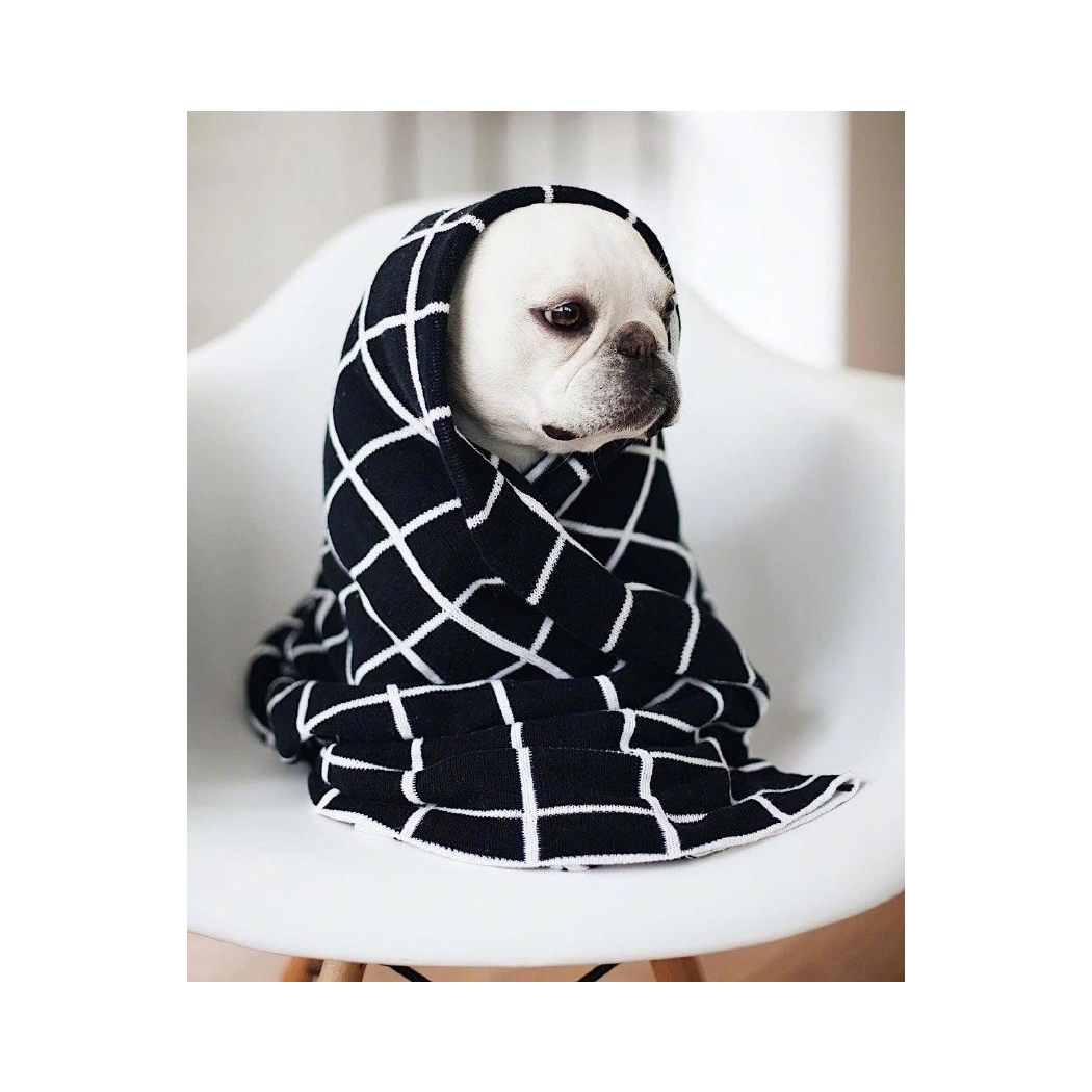 蒙仔