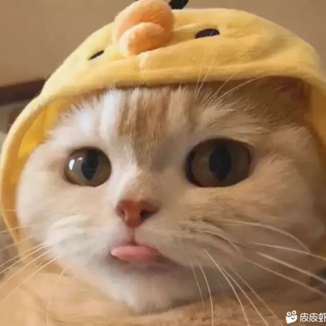 莫惜君