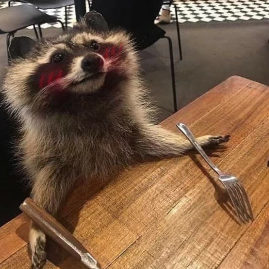 玩什么