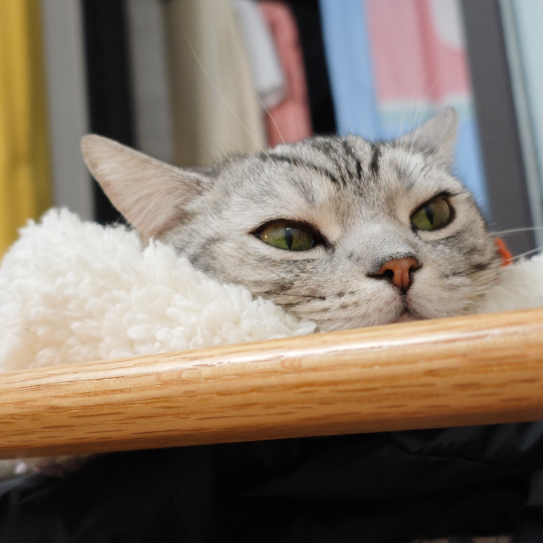 abby