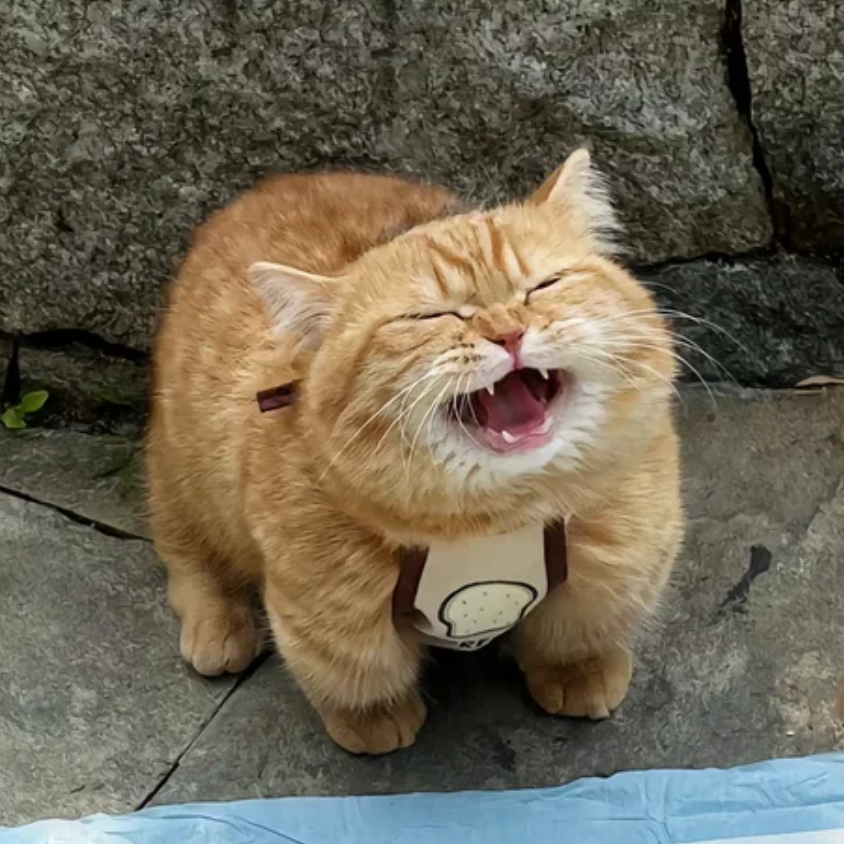 糖果