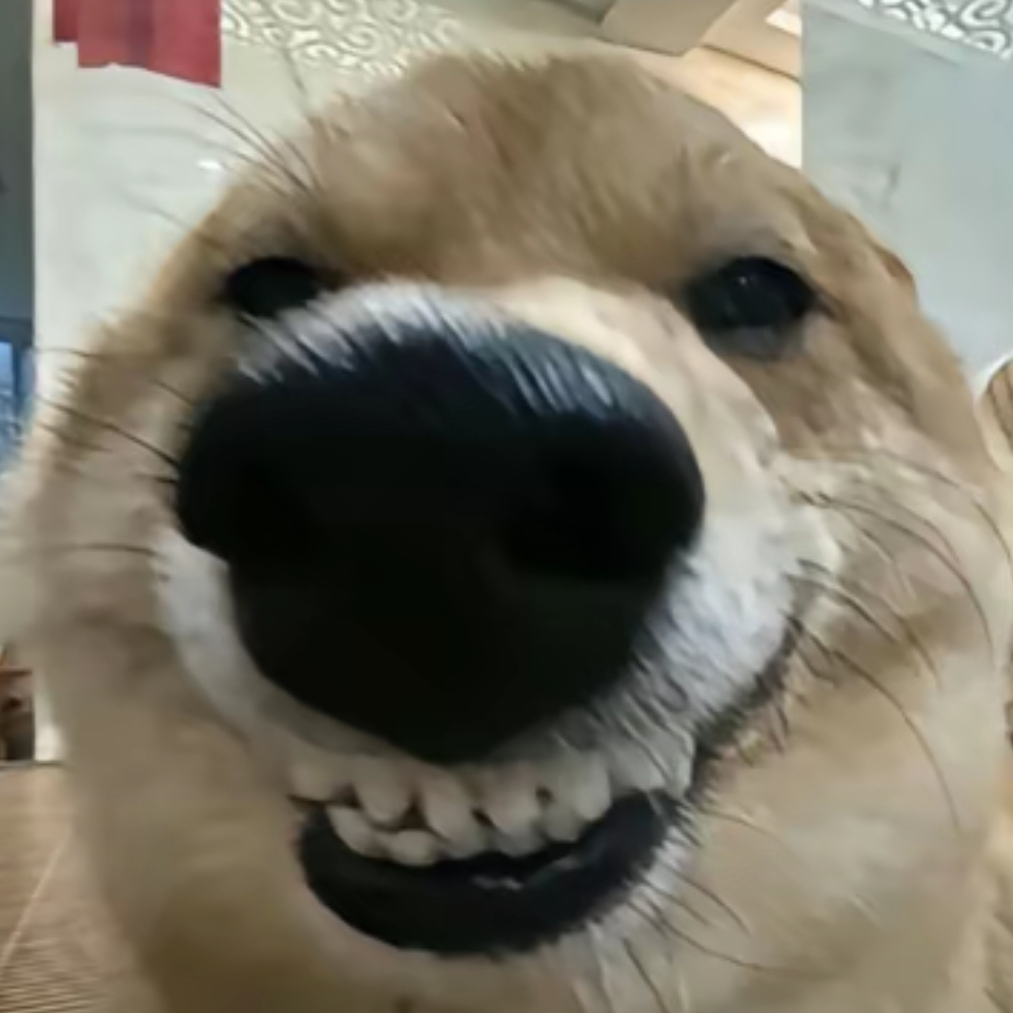 yoyo
