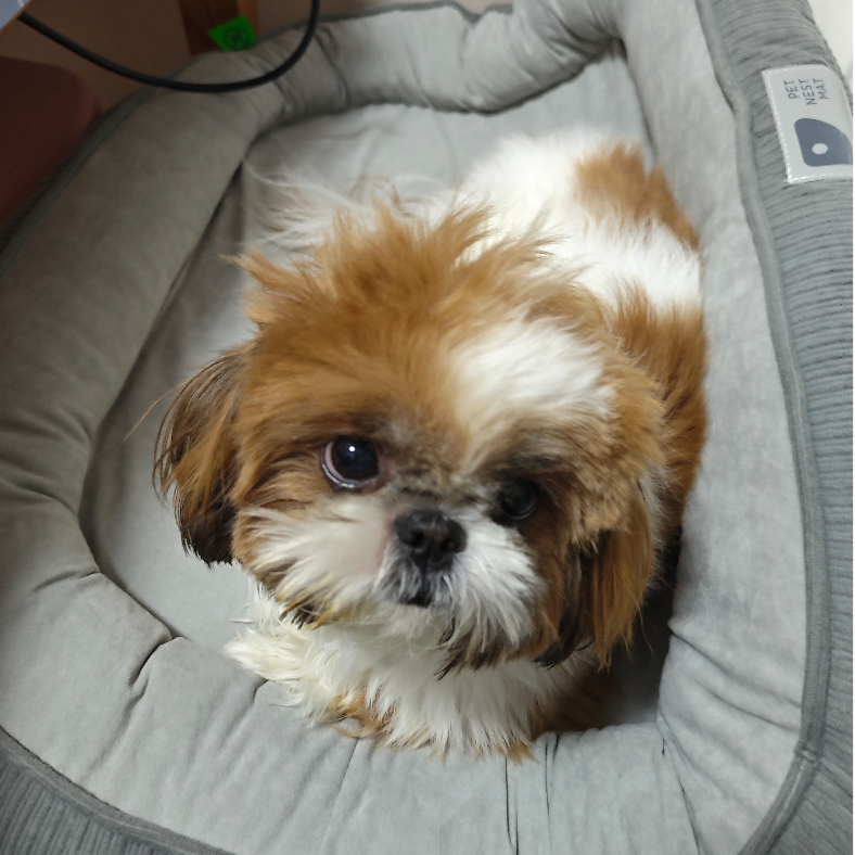 花有重开日，人无再少年