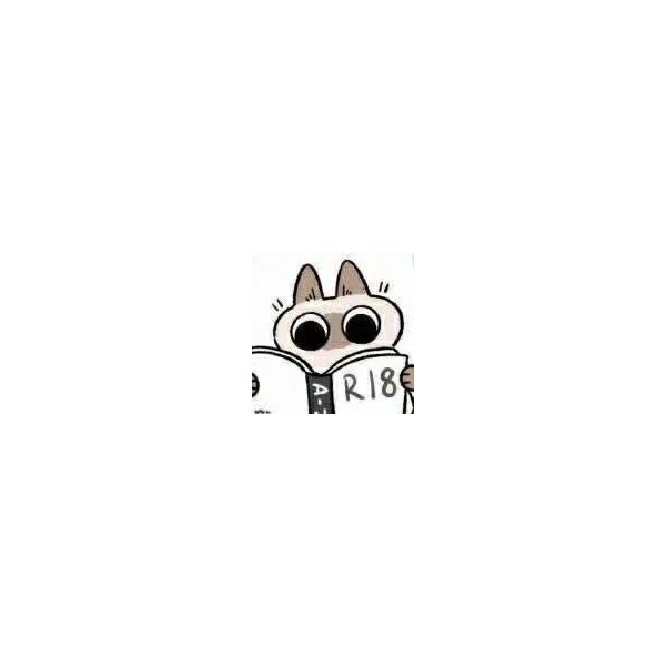 滴滴猫猫