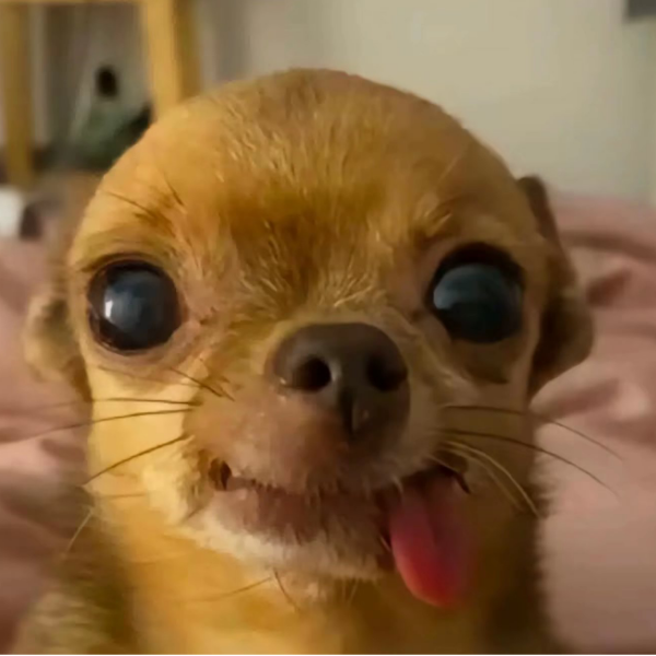 我去看看
